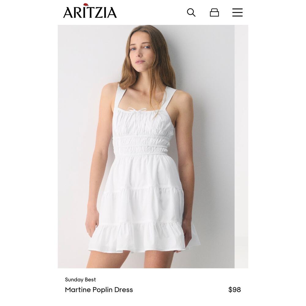 Aritzia Sunday Best Martine Poplin dress
